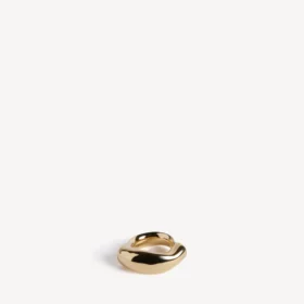 Eisa ring in shiny gold