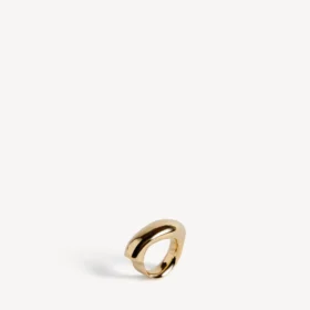Eisa ring in shiny gold