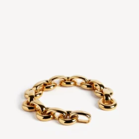 Women’s eisa chain choker in shiny gold